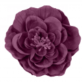 Paper Flower 7 - Purple - A Digital Scrapbooking Flower Embellishment Asset by Marisa Lerin
