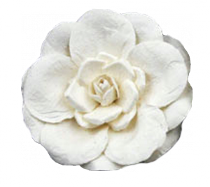 Paper Flower 3 - a digital scrapbooking flower embellishment template by Marisa Lerin