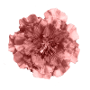 Cloth Flower 8 - Pink