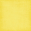 Shellfish - paper yellow