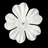 Paper Flower 2